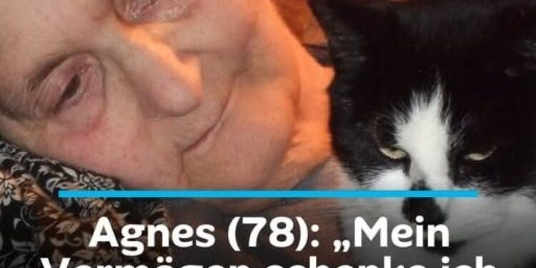 Agnes (78): „Mein Vermögen schenke ich meinen lieben Katzen, meine Kinder kommen nie zu Besuch
