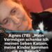 Agnes (78): „Mein Vermögen schenke ich meinen lieben Katzen, meine Kinder kommen nie zu Besuch