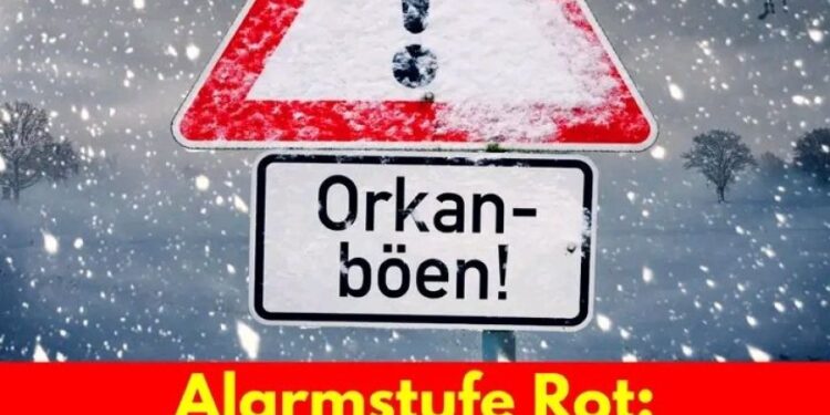 Behörden schlagen Alarm