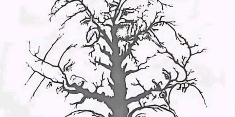 Wie viele Gesichter siehst du in diesem Baum?