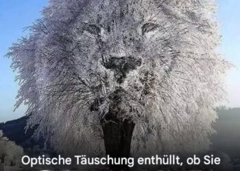 Eine optische Täuschung verrät Ihnen anhand dessen, was Sie sehen, ob Sie eher zurückhaltend oder mächtig sind