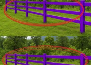 Wenn Sie einen lila gestrichenen Zaun sehen, bedeutet das Folgendes