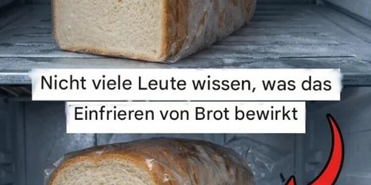 Ein praktischer Leitfaden zum richtigen Einfrieren von Brot