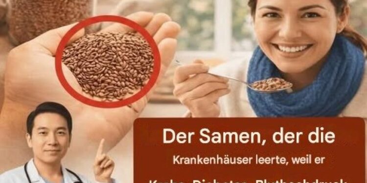 5 Samen, die zur Gesundheit beitragen können