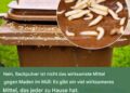 Maden im Müll: 3 Tipps, um sie loszuwerden