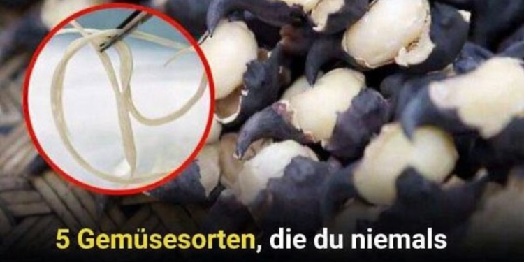 5 Gemüsesorten, die du niemals roh essen solltest – sie können Wurmnester enthalten, die sich in deinem Magen zu Parasiten entwickeln können