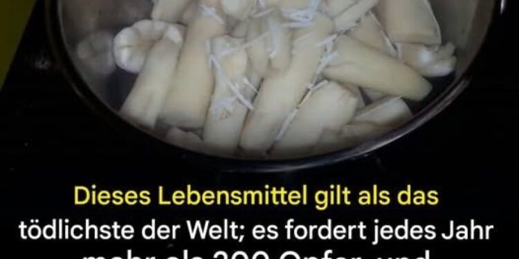 Es gilt als das tödlichste Nahrungsmittel der Welt und tötet jedes Jahr mehr als 200 Menschen – und dennoch konsumieren wir es weiterhin